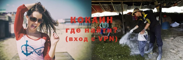 стаф Алзамай