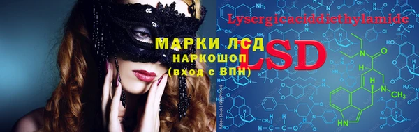 стаф Алзамай