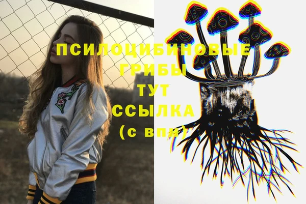 стаф Алзамай