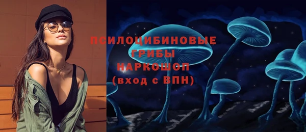 стаф Лабытнанги