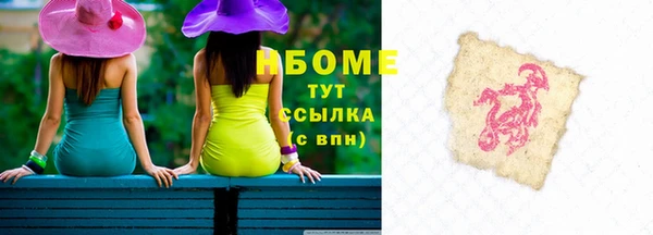 стаф Алзамай