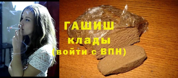 стаф Алзамай