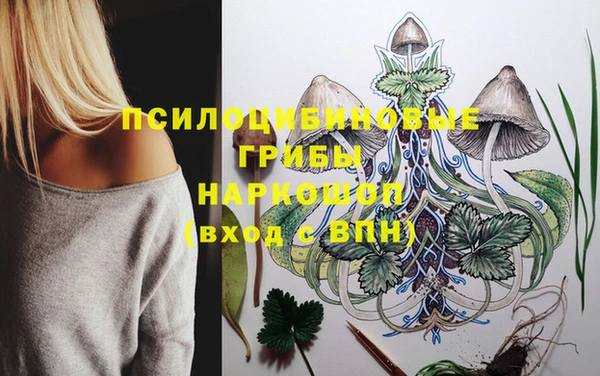 мдпв Арсеньев