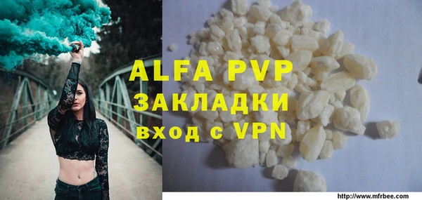 стаф Алзамай
