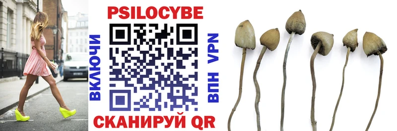 Галлюциногенные грибы прущие грибы  Ессентукская 